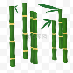 矢量的竹子图片_生机勃勃的竹子和竹叶