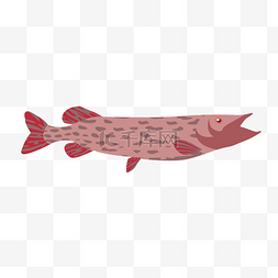 动物彩绘图案图片_手绘鱼图案鱼造型