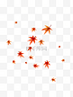 漂浮的枫叶漂浮的红色叶子飘落的橙红色枫叶