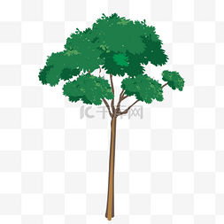 绿色树林卡通图片_绿色的小树免抠图