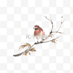伫立树枝的小鸟水墨画
