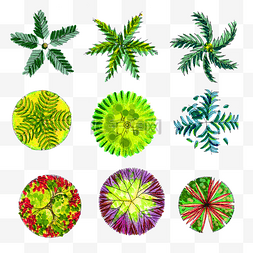 热带植物插画图片_彩色手绘平面植物