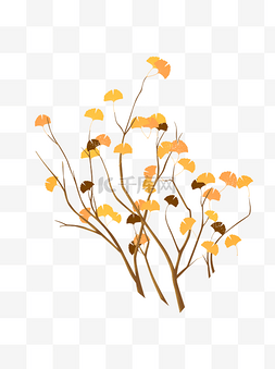 简约树枝树叶图片_手绘银杏树枝设计可商用元素