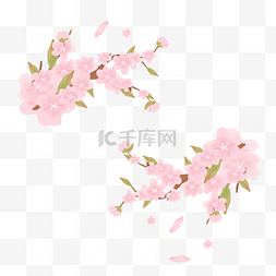 春季漂亮的樱花插画