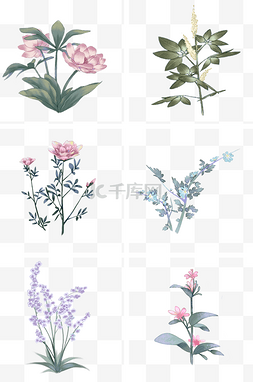 手绘植物手绘兰花图片_中国古风手绘花卉
