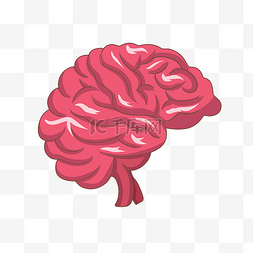 红色的大脑手绘插画
