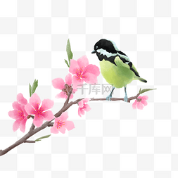 粉色桃花绿色小鸟