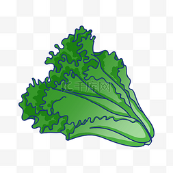 蔬菜手绘插图图片_手绘绿色生菜插画