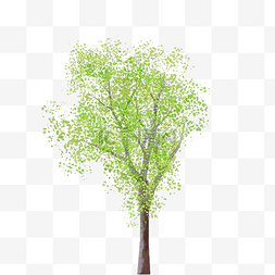 水彩免费下载图片_绿色水彩树木免费下载