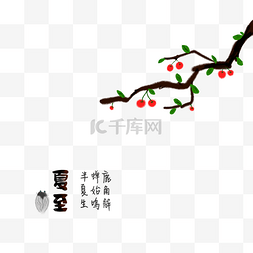 手绘传统图案图片_夏至二十四节气中国风果实国画
