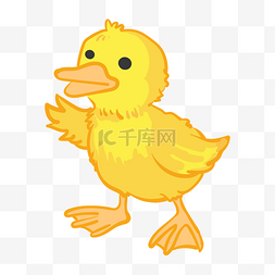 黄色的鸭子手绘插画
