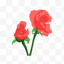 两朵红玫瑰图片_情人节手绘玫瑰免抠素材