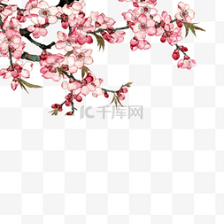 粉色树图片_墙角盛开的一树桃花免抠图