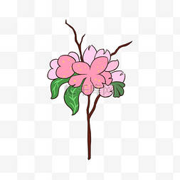 清新粉色的花卉图片_粉色的花春天手绘装饰图案