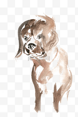 手绘写实宠物图片_可爱的小狗水彩画PNG免抠素材