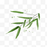 中国水墨手绘绿色竹叶