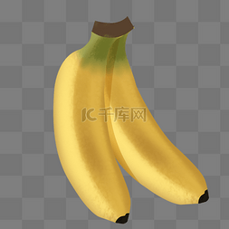 两根手绘写实漂亮的香蕉psd免抠图