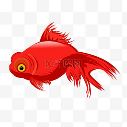 手绘红色金鱼插画