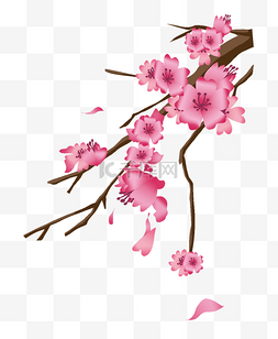手绘春季樱花插画