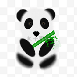 熊猫吃竹子图片_熊猫大熊猫
