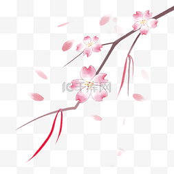 园艺图片_日本樱花花卉花瓣