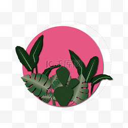 盆栽装饰花图片_矢量绿色植物粉色背景