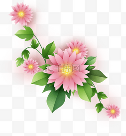花卉折纸图片_立体粉嫩非洲菊和叶子