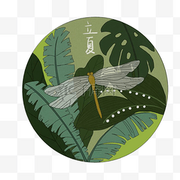绿色土地树林图片_立夏二十四节气农历蜻蜓树林丛林
