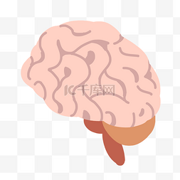 卡通人体大脑插画