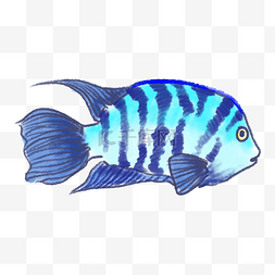 插画生物图片_蓝色热带鱼装饰插画