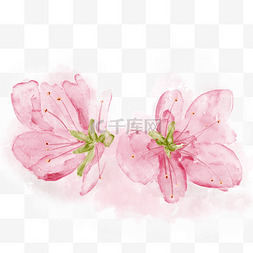 手绘粉红色图片_手绘水彩盛开的桃花
