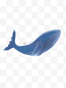 手绘卡通蓝色鲸鱼元素
