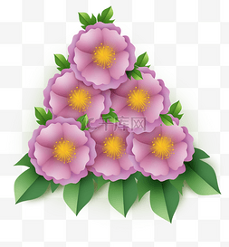 紫色花圃图片_紫色立体淡紫色花朵