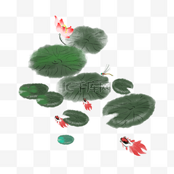 莲花荷叶手绘图片_水墨睡莲鱼手绘插画