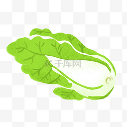 青菜矢量插画图片_绿色蔬菜白菜矢量元素