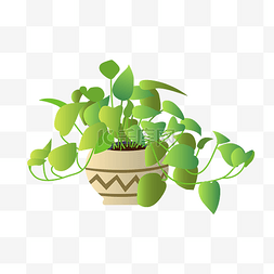 植物光合作用图片_手绘绿萝盆栽插画