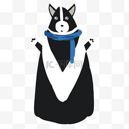 黑色穿冬季服装的狗