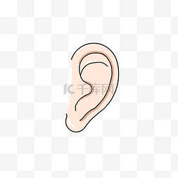 耳朵卡通图片_耳朵器官免抠插画