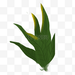 彩绘树叶PNG图片_漂亮彩绘绿色叶子免抠图