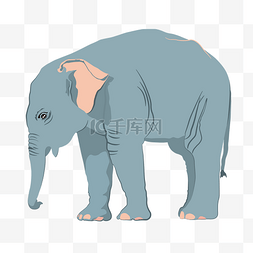 大型动物图片图片_手绘卡通大象免抠图