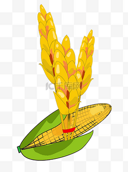 玉米丰收图片_卡通小麦玉米插画