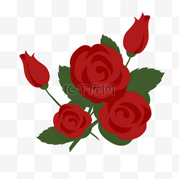 鲜红的花图片_红色的玫瑰花
