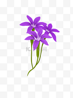 图案小花图片_手绘植物元素紫色的小花