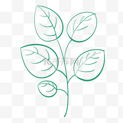 ai矢量植物图片_简单的绿色线框叶子