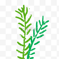 扁平水草图片_绿色植物树叶元素