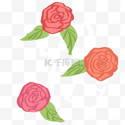 矢量玫瑰花花朵插画