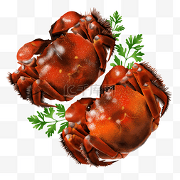 红螃蟹图片_手绘插画美食大闸蟹