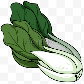 木耳油菜图片_木耳油菜素材-木耳油菜图片大全-千库网