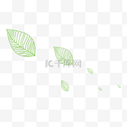 春季的叶子图片_绿色描线漂浮树叶卡通手绘素材免