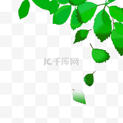 绿色落图片_飘落下的绿色树叶